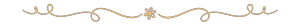 Asset-4.1